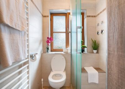 Modernes WC mit Dusche_Fewo Alpenaster_Haus Werdenfels in Mittenwald