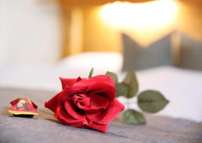 rote Rose auf dem Bett_Fewo Alpenaster_Haus Werdenfels in Mittenwald